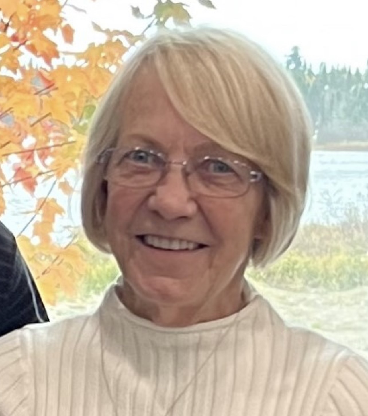 Viviane Meilleur
